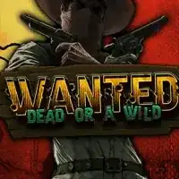 Wanted Dead or a Wild — Slotmagie Casino
